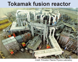 Tokamak fusion reactor